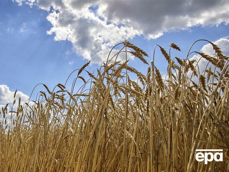 На експорт Україна спрямувала всю заплановану частину зерна врожаю 2022 року – Сольський