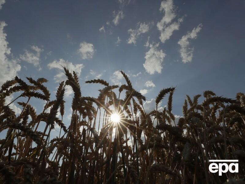 Фермер из Харьковской области во время оккупации вывезла в РФ украинское зерно на 13 млн грн, ее задержала СБУ