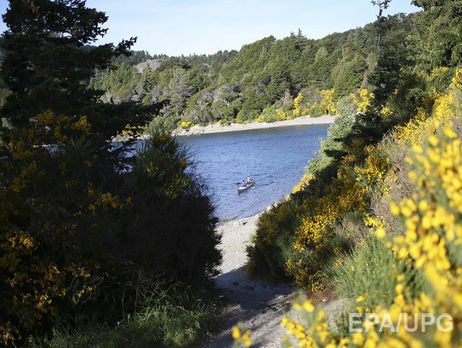 В Аргентине нашли окаменелый плод, которому около 52 млн лет