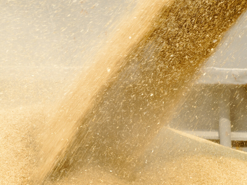 СБУ оголосила власнику агрохолдингу про підозру у вивезенні українського зерна з окупованого Бердянська до РФ