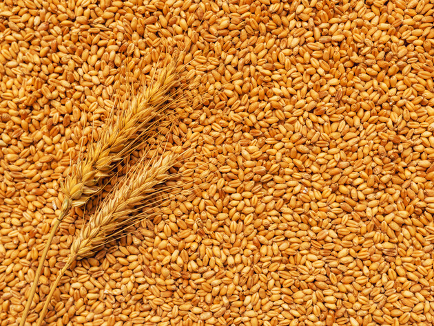 Єгипет купує майже пів мільйона тонн російської пшениці в межах приватної угоди