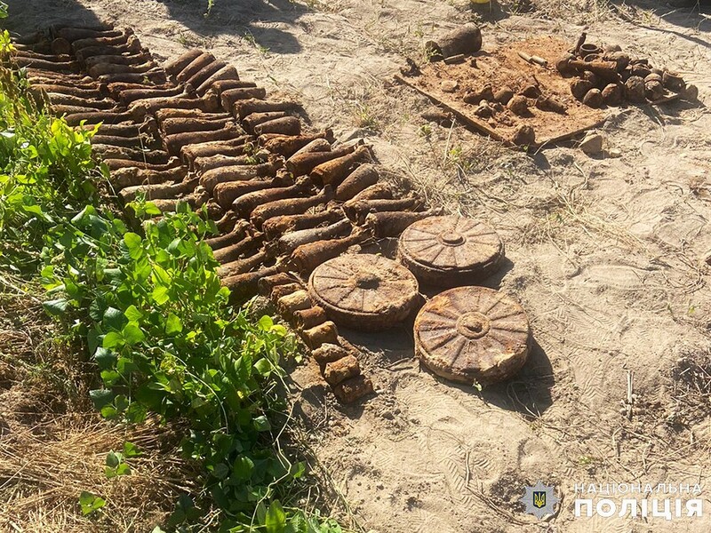 У Житомирі жінка, копаючи картоплю, виявила 85 мін і вісім гранат. Фото