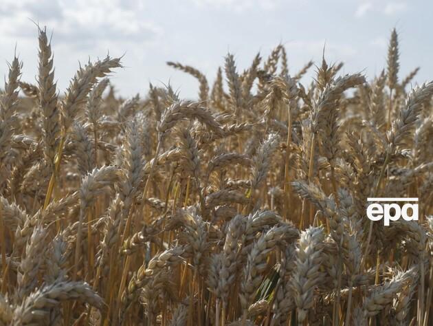 Парламент Болгарии отменил запрет импорта украинского зерна