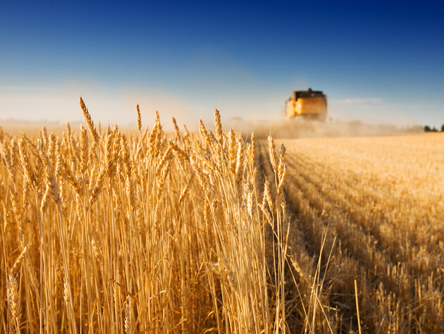 Правительство Украины согласовало новую процедуру экспорта агропродукции в пять стран Евросоюза
