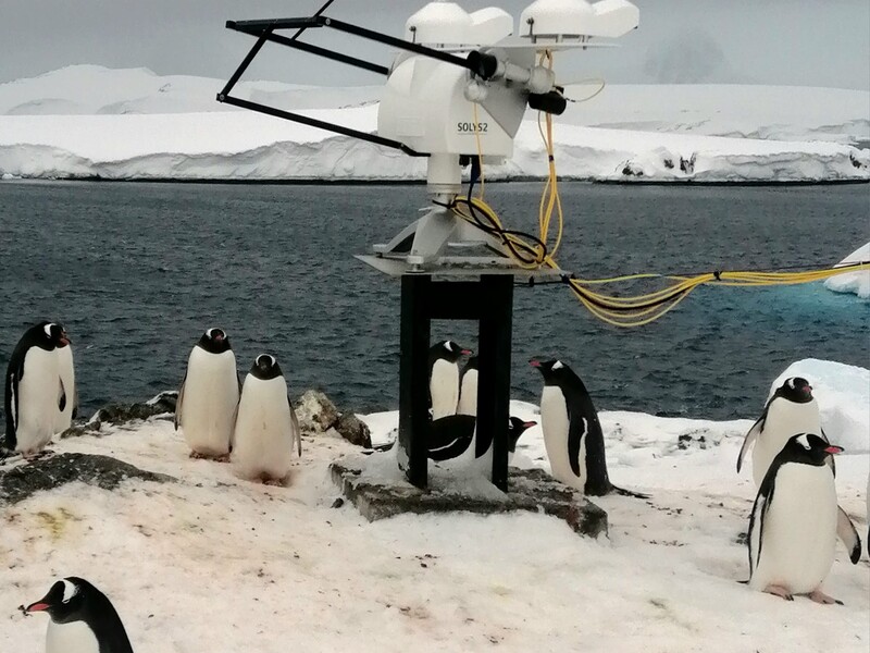 "Науковці шоковані". Пінгвіни "окупували" метеомайданчик на українській антарктичній станції "Академік Вернадський"