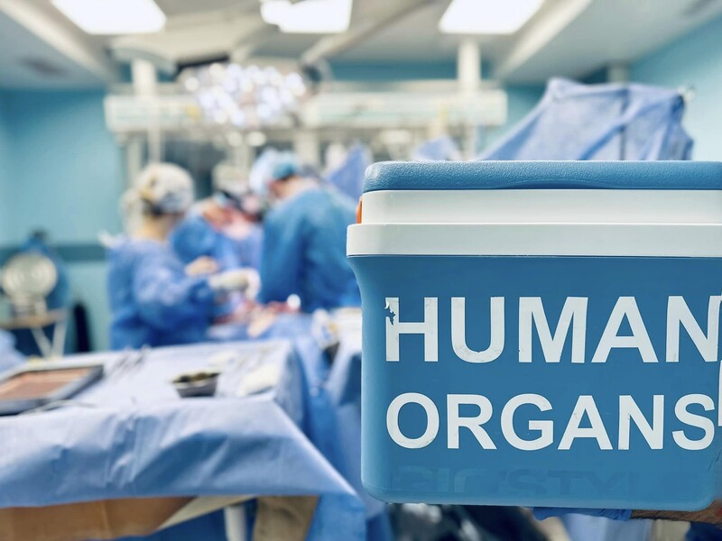 В Украине впервые провели сплит-трансплантацию печени, орган разделили между двумя пациентами