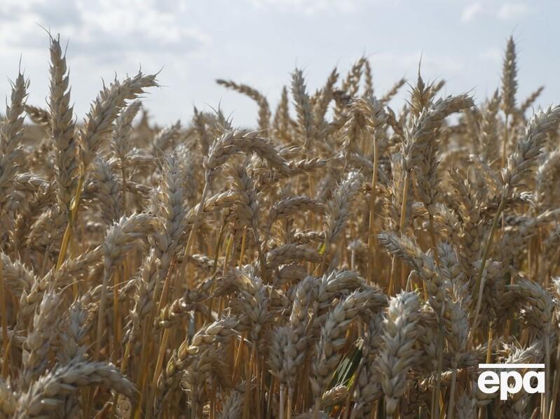 Зеленський: Скоро запрацює "зерновий коридор" з України через Молдову та Румунію