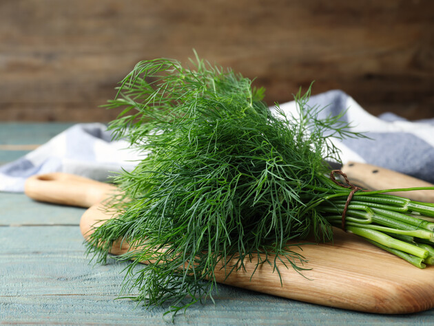 Какой укроп посадить под зиму. Эксперты назвали лучшие сорта