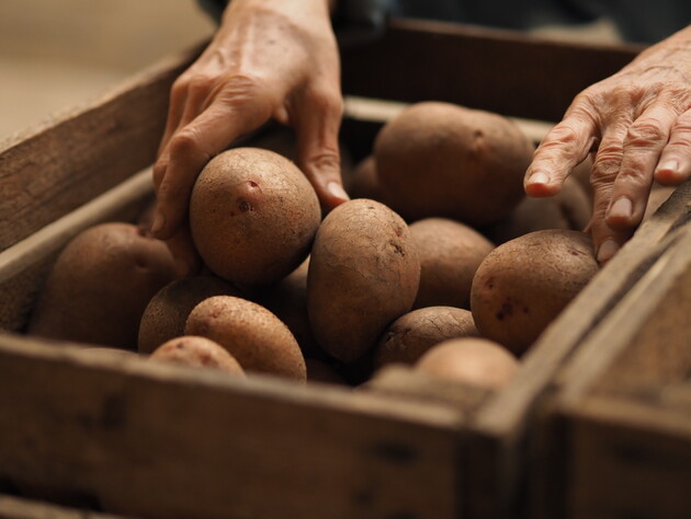 Это поможет сохранить картофель без прорастания всю зиму