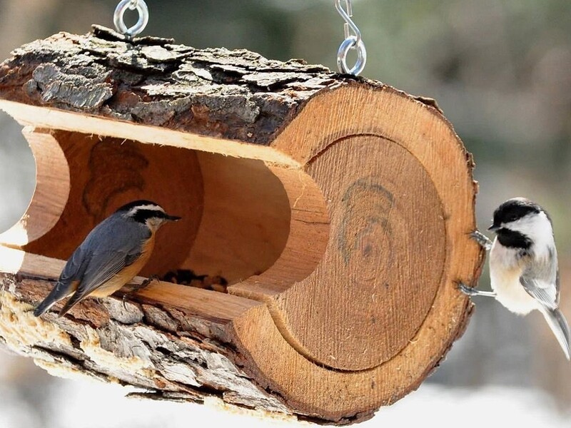 Красивые деревянные кормушки для птиц - 58 фото