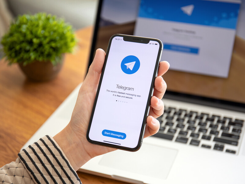 Telegram продолжает оставаться основной социальной сетью для общения и потребления новостей – исследование