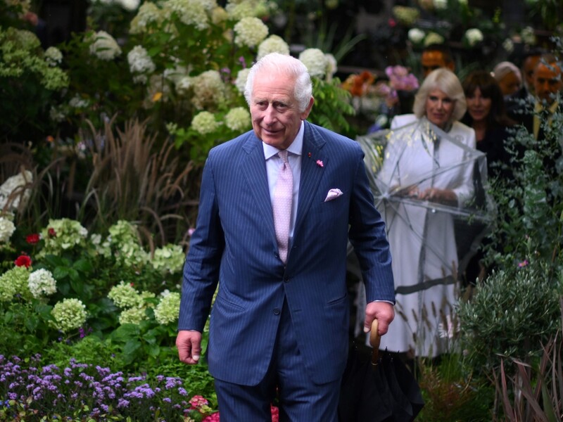 Букингемский дворец посвятил Чарльзу III видеооткрытку в честь его 75-летия. В ролике показаны архивные фото короля
