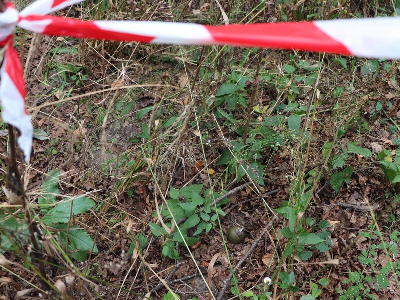 В Харьковской области подросток, гуляя в лесопосадке, нашел взрывное устройство, которое сдетонировало в его руках