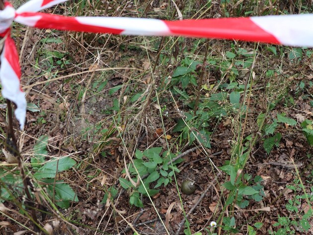 У Харківській області підліток, гуляючи в лісопосадці, знайшов вибуховий пристрій, який здетонував у його руках
