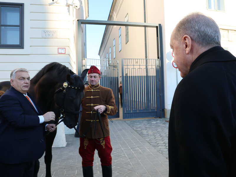 "Хорошая сделка". Орбан подарил Эрдогану коня, Эрдоган Орбану – первый турецкий электромобиль. Фото