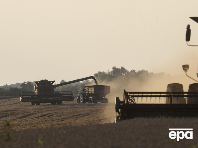Україна не одержує податків із половини зерна, яке йде на експорт, воно "чорне" – Гетманцев