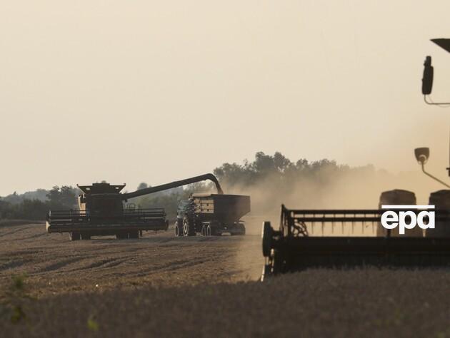 Україна не одержує податків із половини зерна, яке йде на експорт, воно 