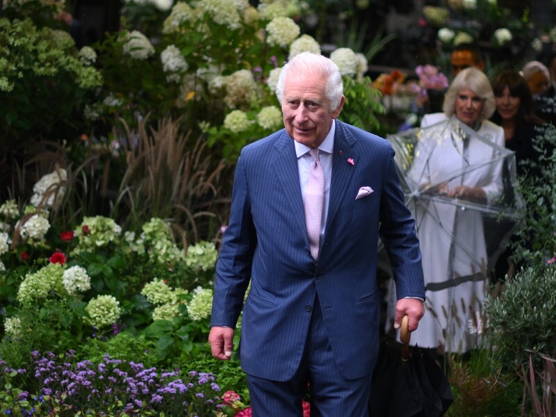 75-летний Чарльз III выписался домой после операции на простате. Букингемский дворец отложил мероприятия с его участием