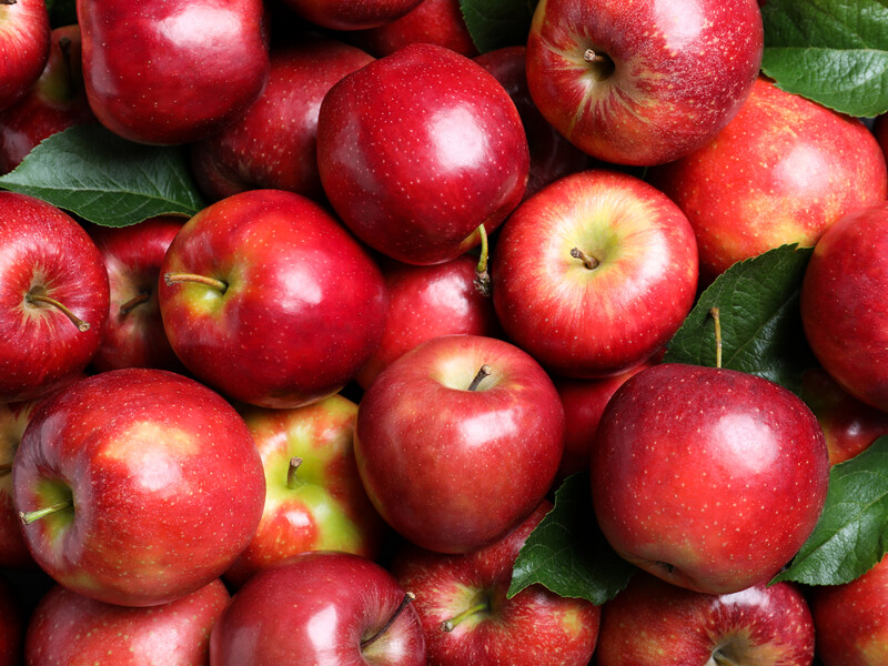 Не забывайте делать это, и яблони будут давать хороший урожай каждый год