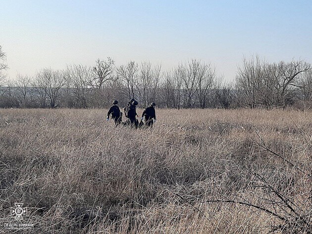 В Николаевской области на боеприпасе подорвались сразу четыре человека