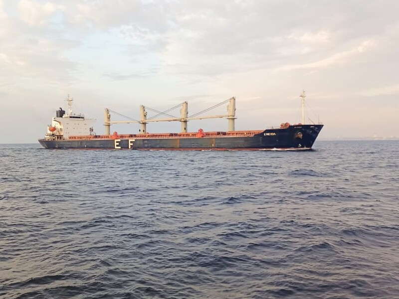 В феврале через морской коридор Украина экспортировала рекордное количество грузов