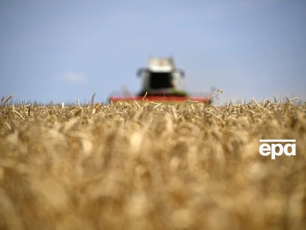 Украинский экспорт существенно не влияет на снижение цен на зерно в Польше – исследование 