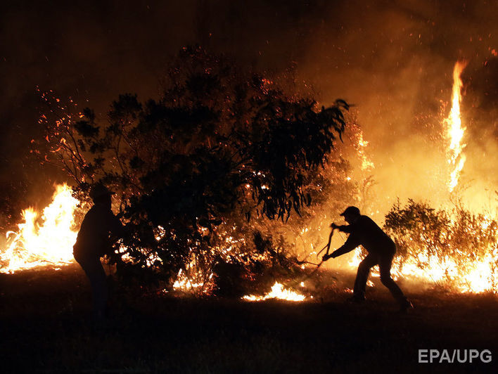 В центральных регионах Чили из-за масштабных лесных пожаров объявлено чрезвычайное положение. Видео