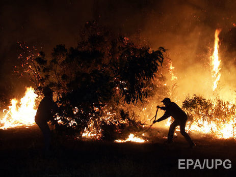 В центральных регионах Чили из-за масштабных лесных пожаров объявлено чрезвычайное положение. Видео
