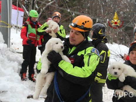 Обнаружены семь тел погибших при сходе лавины на отель в Италии