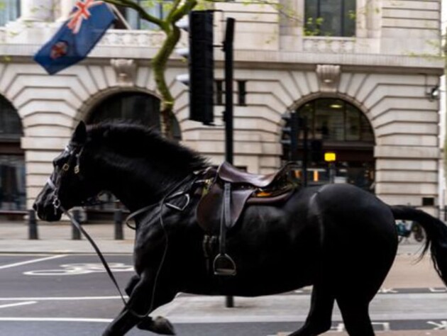Две лошади, которые сбежали с репетиции Королевской гвардии в Лондоне, находятся в тяжелом состоянии, еще одна отправлена в конный госпиталь