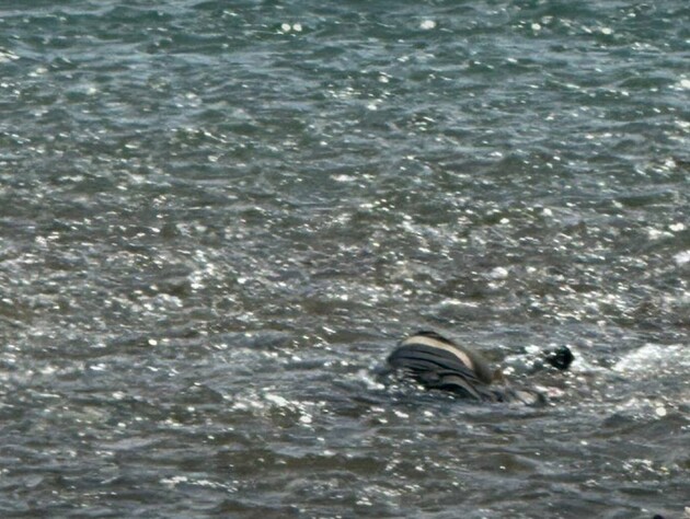 Пограничники нашли очередного утопленника в Тисе в 10 м от румынского берега – ГПСУ