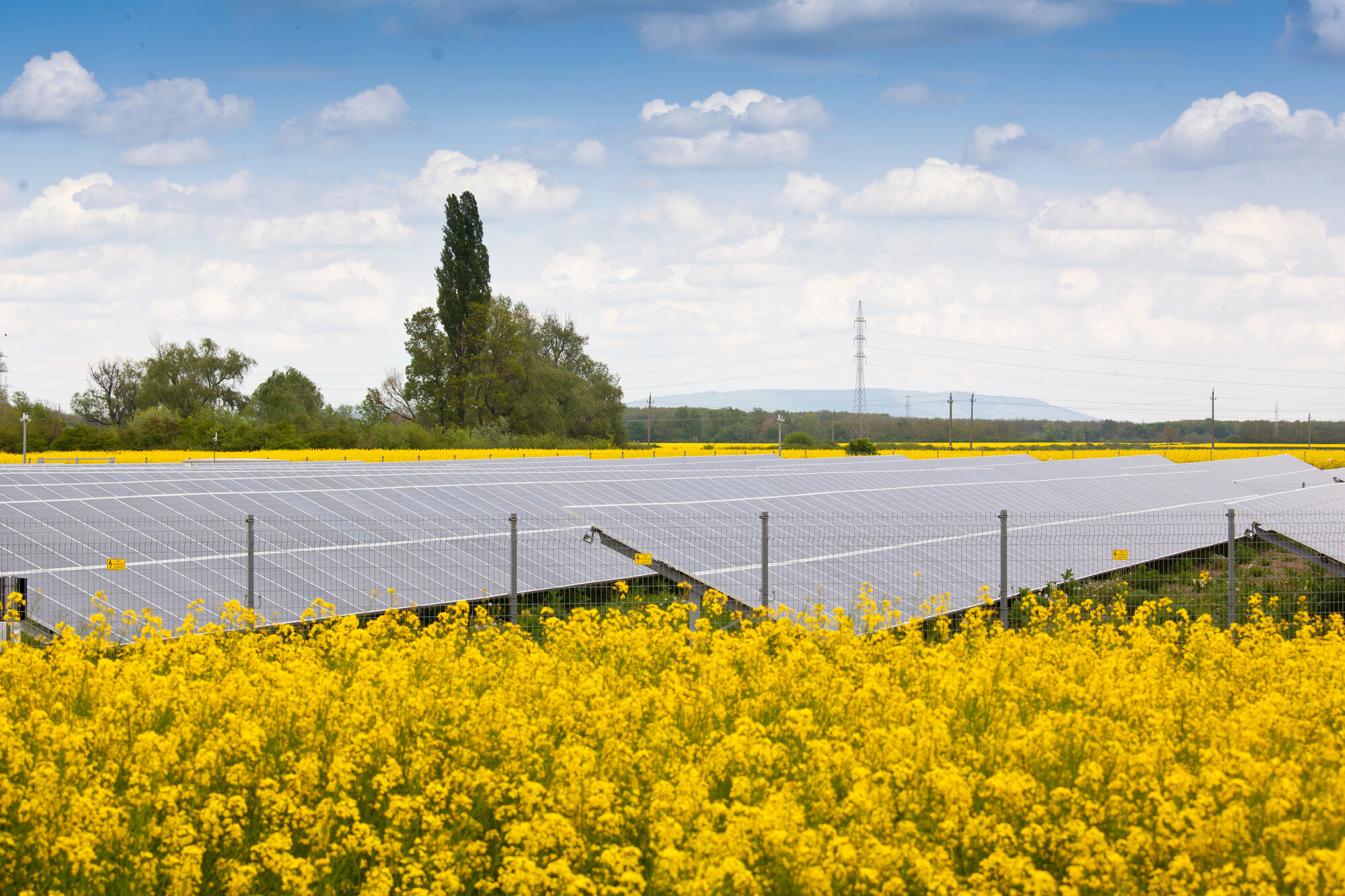 Солнечные электростанции днем закрывают до 30% потребностей Украины в электроэнергии – эксперт