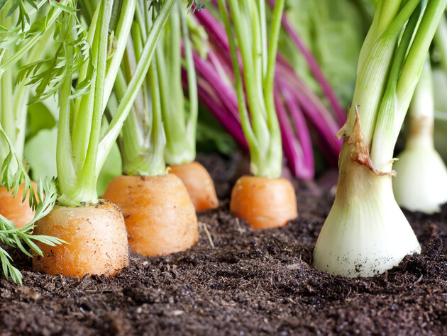 Эта натуральная подкормка 