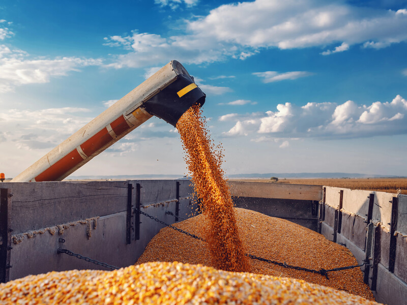 Совет ЕС повысил пошлину на зерно из РФ и Беларуси