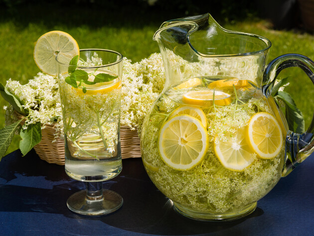 Лимонад из бузины. Рецепт от Ярославского
