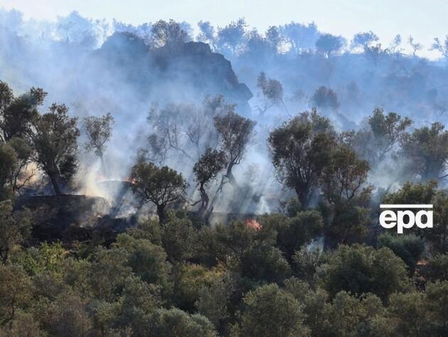 У Греції заарештували 13 людей за феєрверк із яхти, через який почалася лісова пожежа