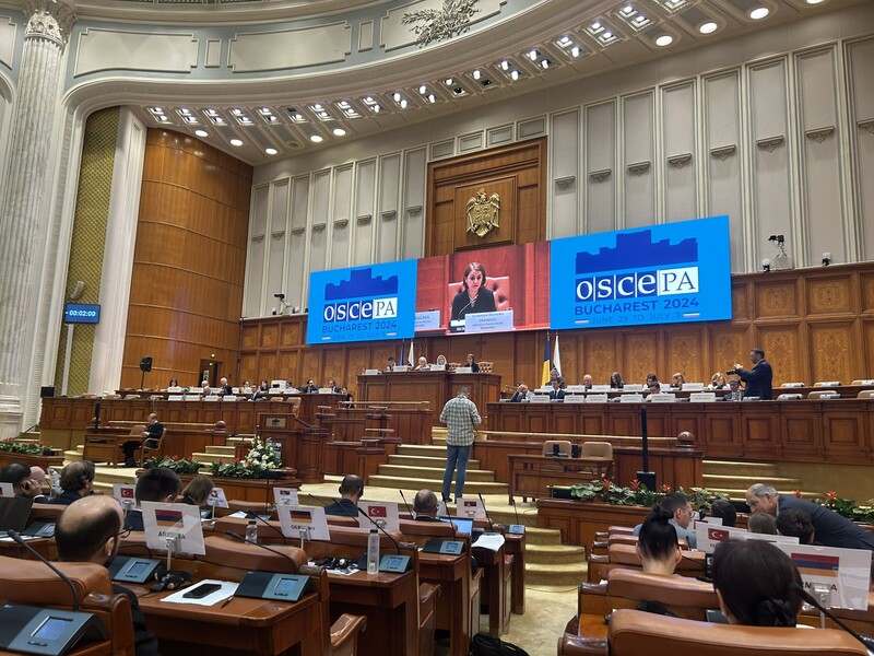 РФ заявила про зупинення участі в Парламентській асамблеї ОБСЄ