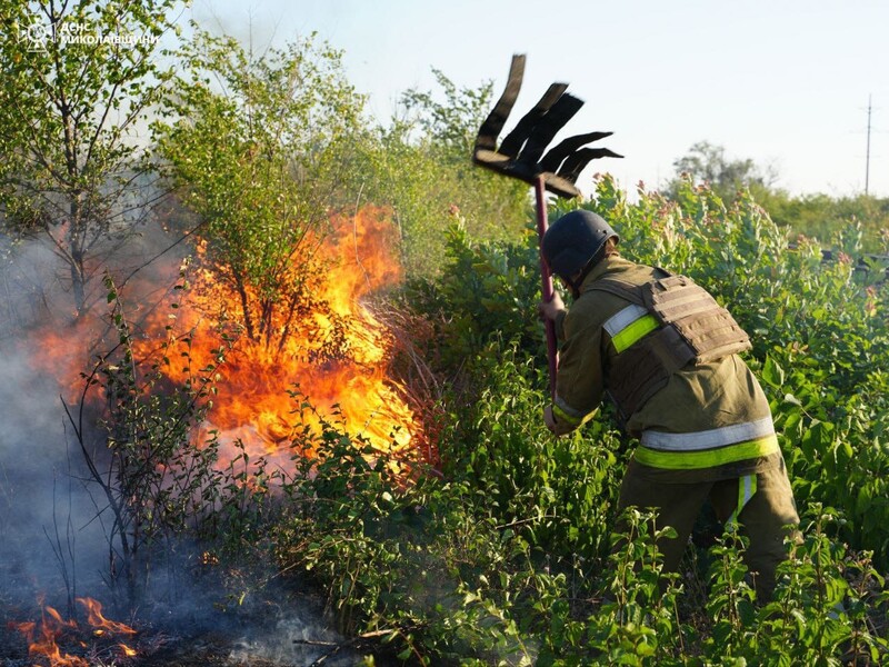 В Николаеве масштабный пожар на открытой территории, тушение затруднено из-за взрывоопасных предметов