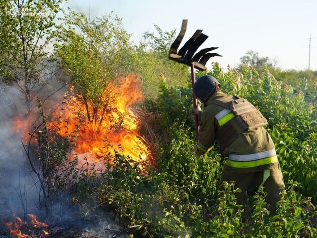 У Миколаєві масштабна пожежа на відкритій території, гасіння ускладнене через вибухонебезпечні предмети