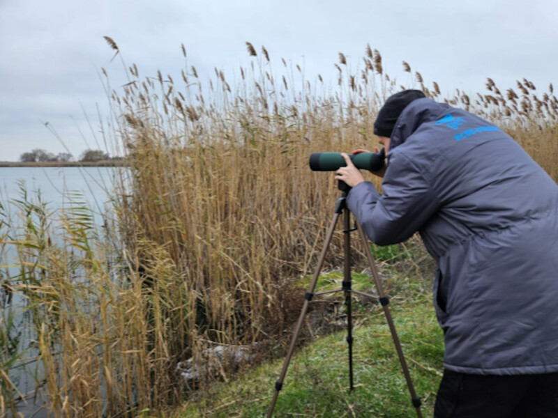 ДТЕК ВДЕ проводить орнітологічні дослідження на території майбутньої Полтавської ВЕС