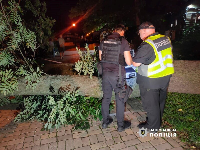 В киевском парке дерево убило женщину, еще четыре человека госпитализированы