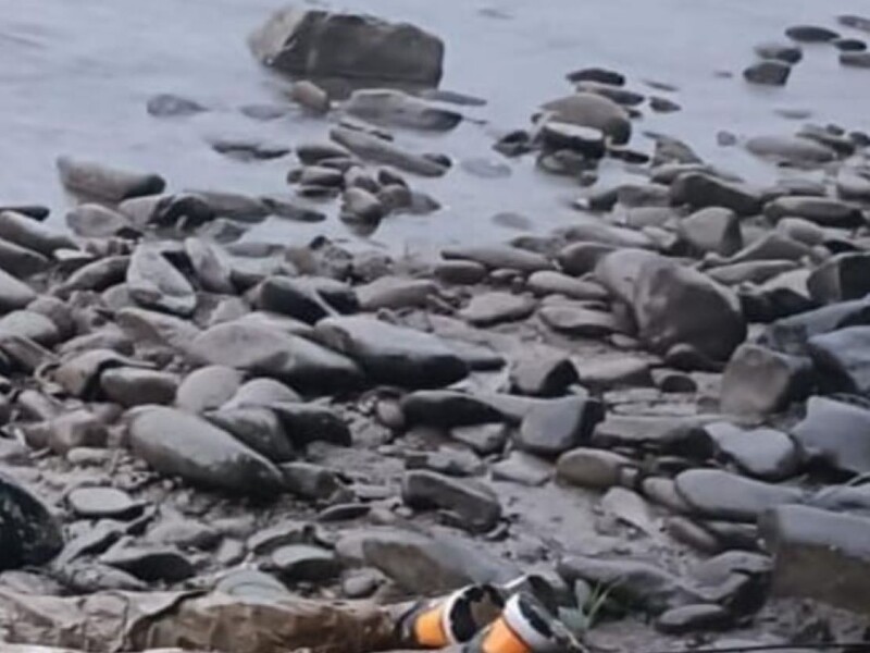 Румынские пограничники обнаружили на берегу Тисы тело утопленника – ГПСУ
