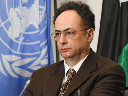 ЕС следит за реформой здравоохранения в Украине – посол Мингарелли