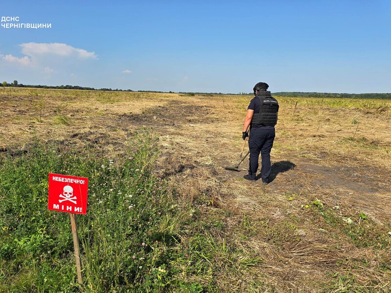 В Украине назвали потери из-за заминированных территорий, в четырех областях – это более 20% их ВВП