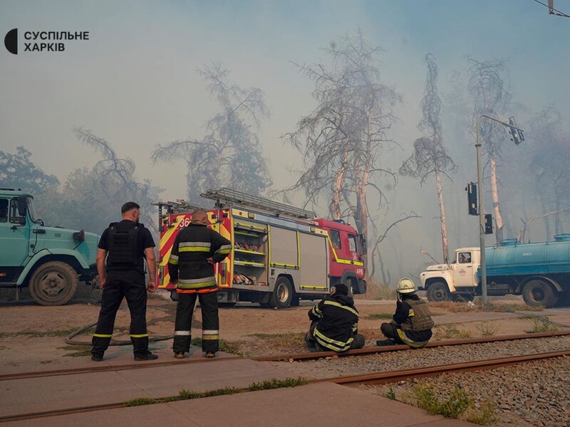 У Харкові горить ліс, рух транспорту довелося зупинити