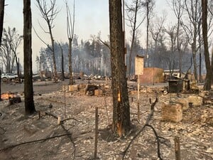 Четверо людей згоріли живцем. У Харківській області лісова пожежа повністю знищила селище. Фото