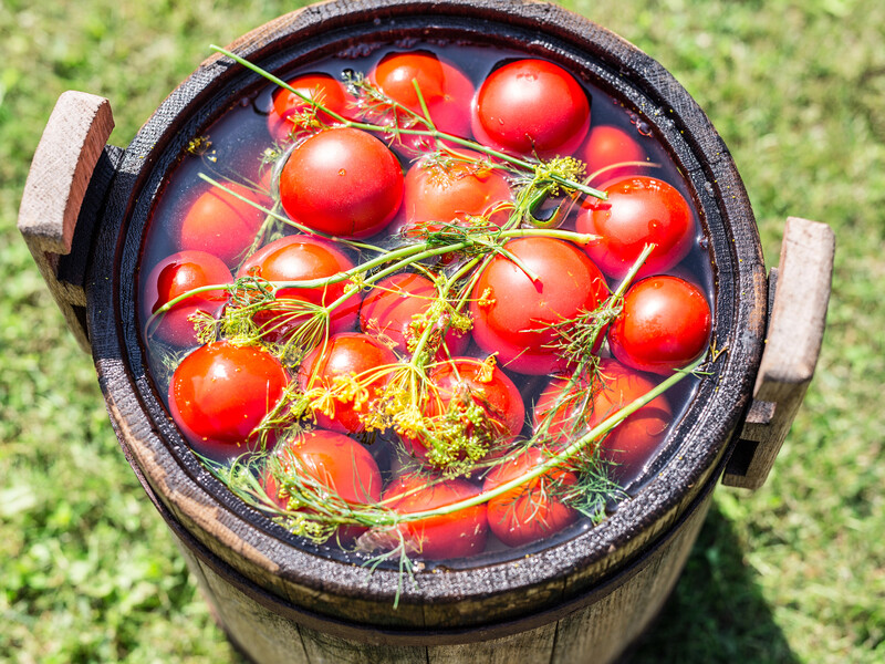 Как вкусно заквасить помидоры в большой бочке – узнайте секрет от 98-летней бабушки