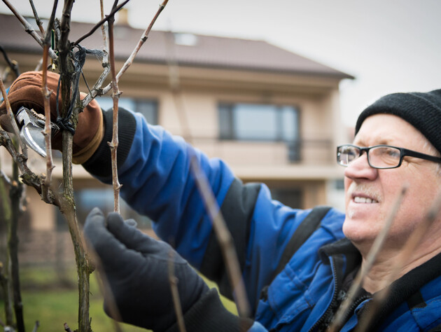 Сделайте обрезку винограда именно в это время – и лоза не будет плакать