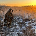 Сил специальных операций заявили о взятии нового села в Курской области РФ