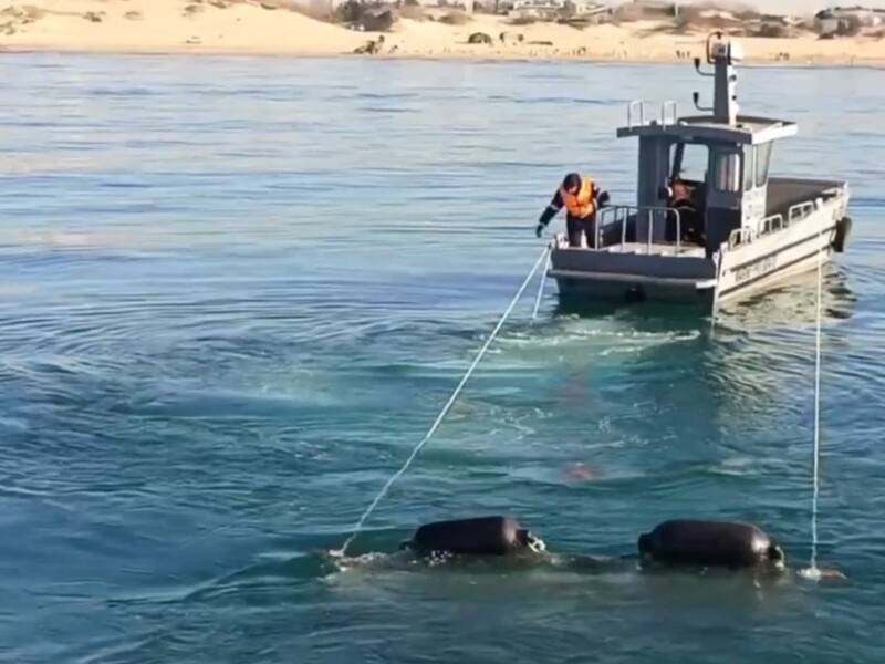 У Криму зафіксували нові осередки забруднення мазутом унаслідок аварії танкерів у Керченській протоці